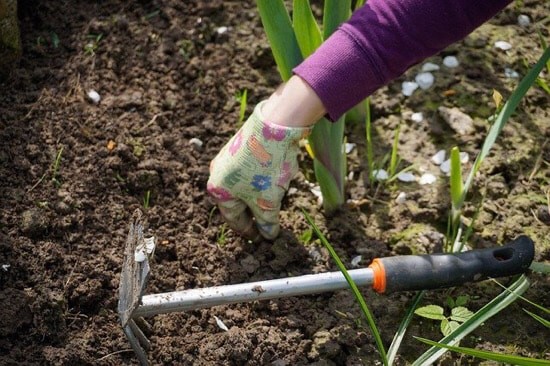 Wethouders openen wijktuin Nieuwe Banne in Sleeuwijk