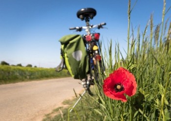 Fietstocht door Veen