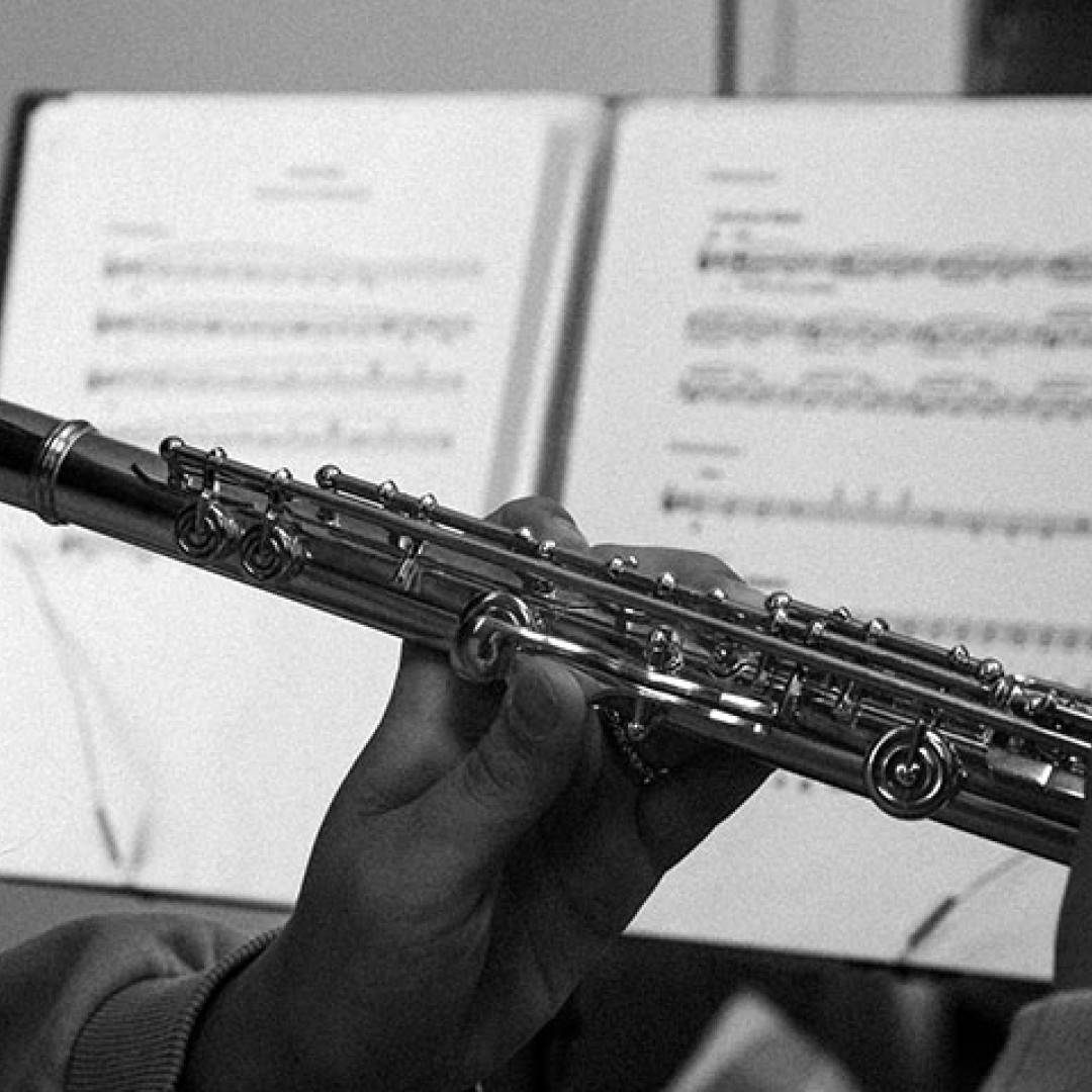 Muzikaal de verjaardag vieren van Bach, dat kan | Altena.net
