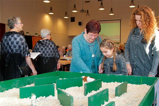 Drukte op winterfair Altenahove